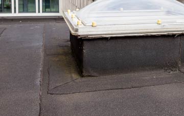disadvantages of Purton Common flat roofs