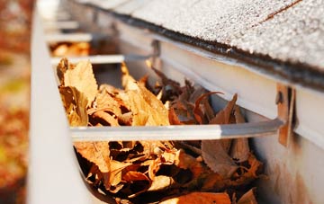 Purton Common gutter cleaning companies