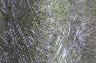 Purton Common fibreglass roof work